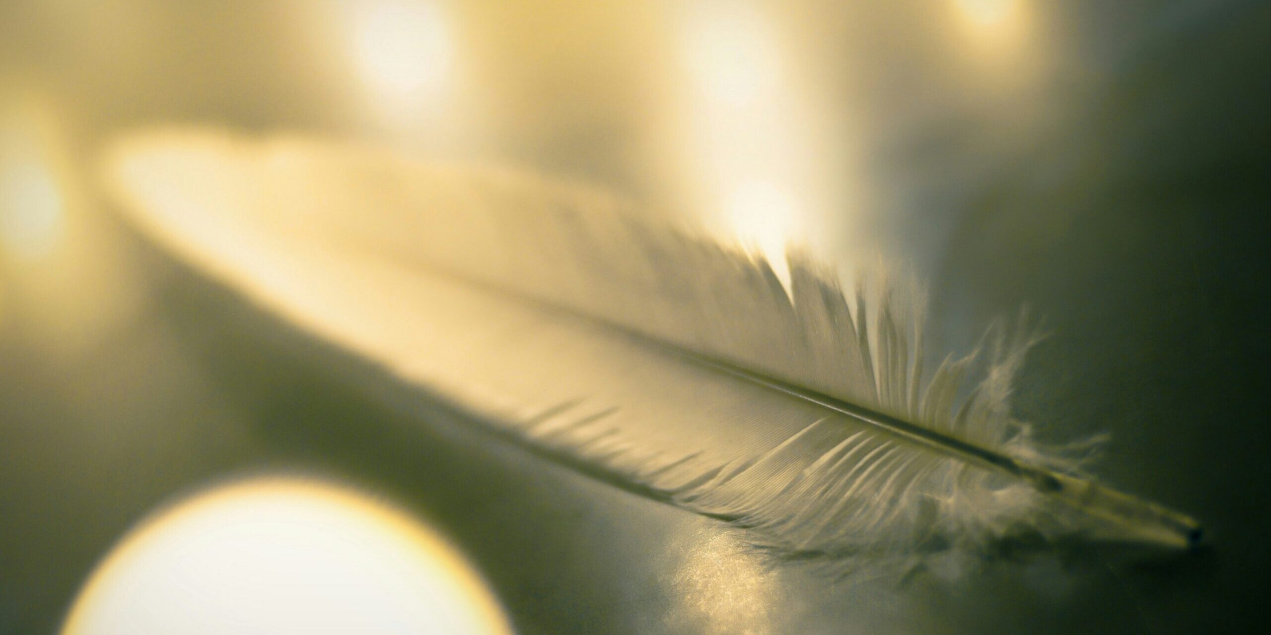 bruno-kelzer-2gChMqDsjB0-unsplash